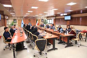 طرح تدوین گزینه های سیاستی حوزه توانبخشی مربوط به افراد دارای ناتوانی جسمی